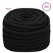 Frânghie utilitară multifuncțională 20 mm 25 m Negru Poliester - WALTI WALTI