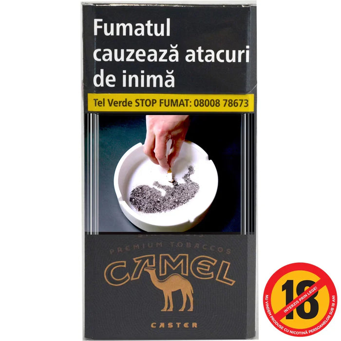 Tigari Camel Caster - WALTI WALTI