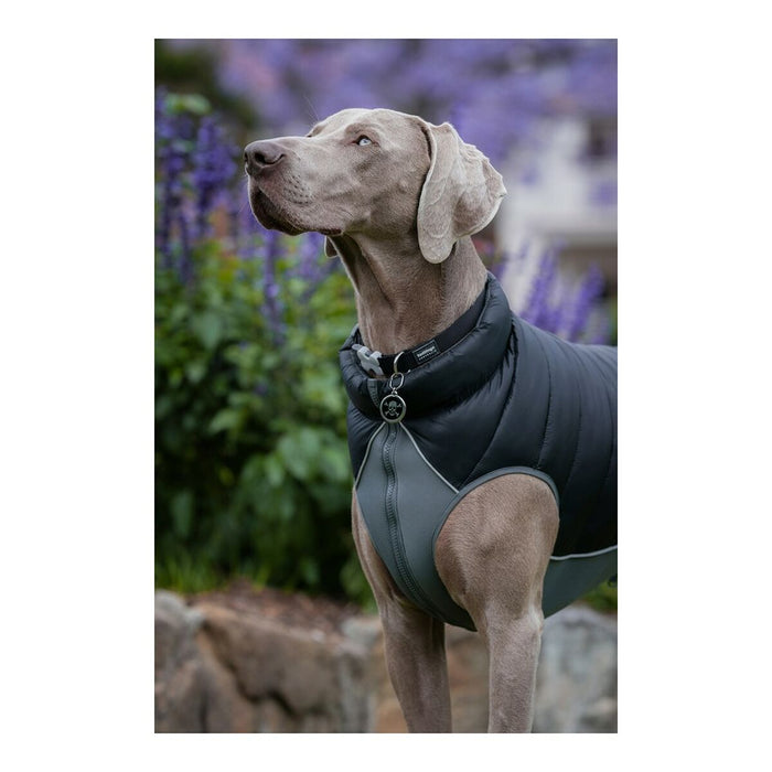 Haină pentru câine Red Dingo Puffer Negru/Gri 25 cm - WALTI WALTI