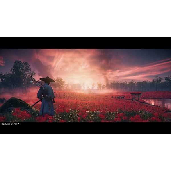 Joc Ghost of Tsushima Director's Cut PS5 WALTI