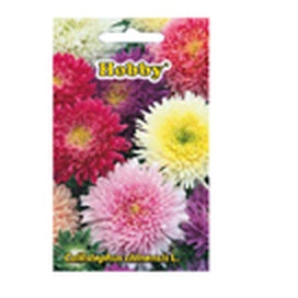 HOBBY Seminte Flori - WALTI WALTI