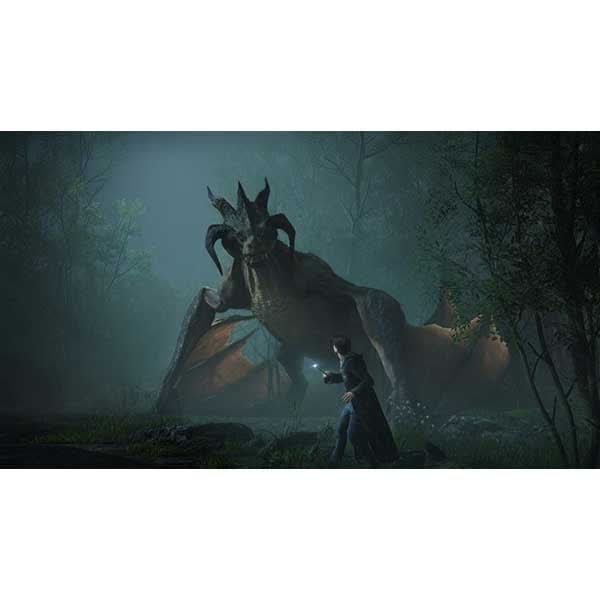 Joc Hogwarts Legacy PS5 WALTI