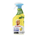 Mr. PROPER Detergent Universal Spray Multisuprafete Lamaie 800 ml - WALTI WALTI