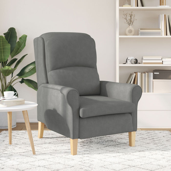 Fotoliu gri închis Gri închis Țesătură și lemn Standard Ergonomic - WALTI WALTI