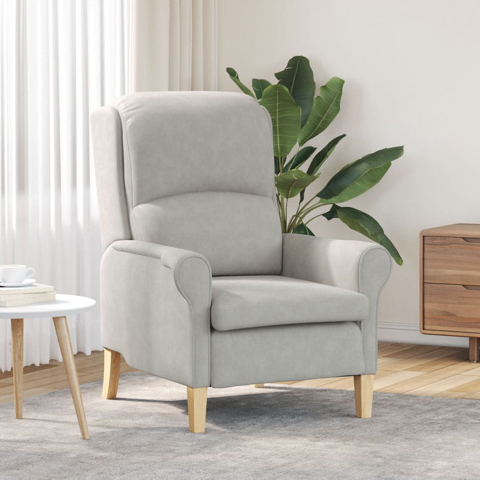 Fotoliu Gri Deschis Gri deschis Țesătură Standard Ergonomic - WALTI WALTI