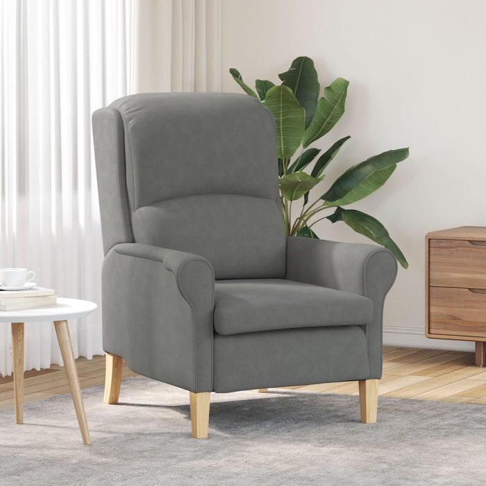Fotoliu gri închis Gri închis Țesătură și lemn Standard Ergonomic - WALTI WALTI