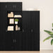 Highboard Stejar Negru 40x42.5x185 cm Lemn prelucrat - WALTI WALTI
