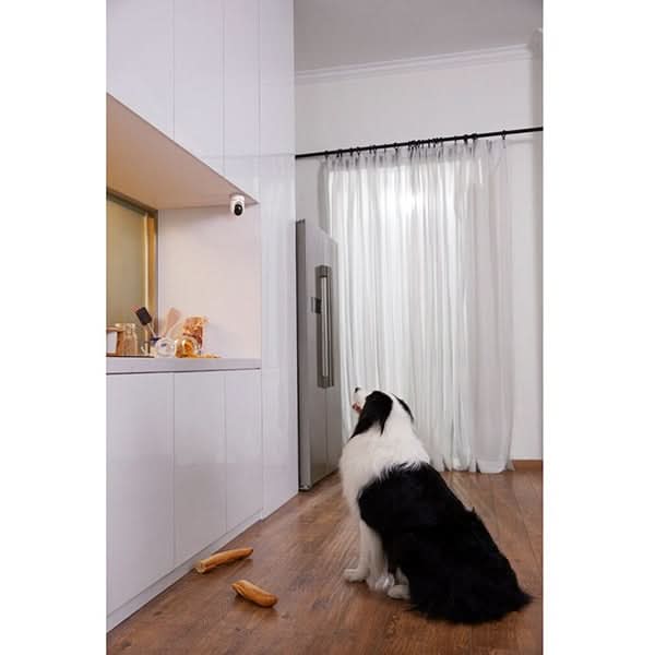 Camera IP Wireless interior EUFY T8410322, SFHD 1296P, IR, Night Vision, compatibil HomeKit, Alb WALTI