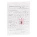 SIGMA Foi Parcurs Transport Marfa 3 x 100 File - WALTI WALTI