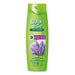 WASH & GO Sampon cu Extract de Lavanda 360 ml - WALTI WALTI