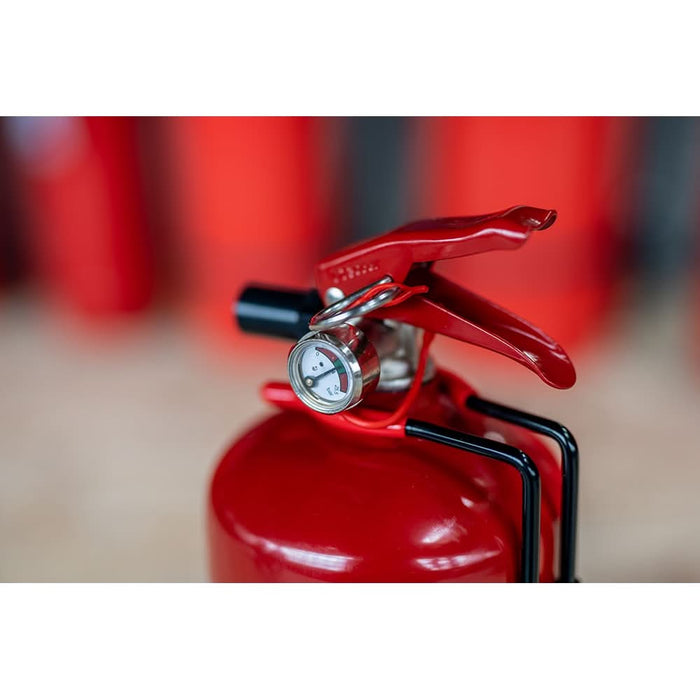 Stingator auto cu pulbere VICTORIA, ABC P1, 1kg - WALTI WALTI