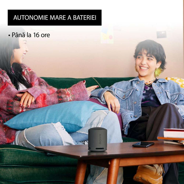 Boxa portabila SONY SRS-XB100B, Bluetooth, IP67, negru WALTI