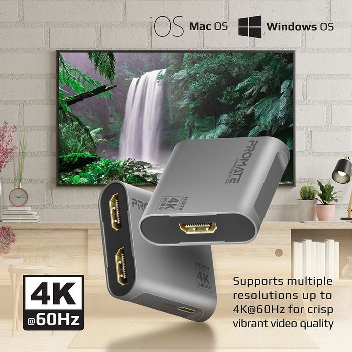 Adaptor Splitter HDMI- USB Type C PROMATE MEDIASPLIT-C2, gri WALTI