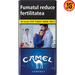 Camel Compact Blue - WALTI WALTI