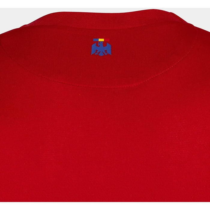 Tricou fotbal de joc JOMA Echipa nationala de Fotbal a Romaniei 2023, marimea M, rosu WALTI