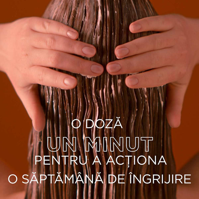 GARNIER BOTANIC THERAPY Mască de păr Hair Remedy cu miere & ceara de albine, 340 ml WALTI