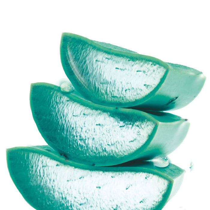 GARNIER SKIN NATURALS Hyaluronic Aloe Jelly gel hidratant, 50 ml WALTI