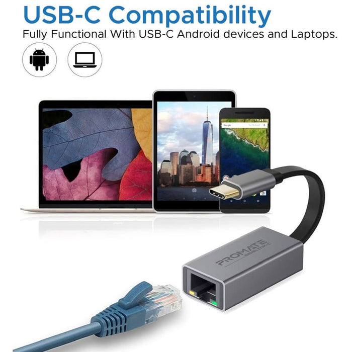 Adaptor USB-C - RJ45 PROMATE Gigalink-C, gri WALTI