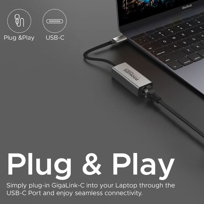 Adaptor USB-C - RJ45 PROMATE Gigalink-C, gri WALTI