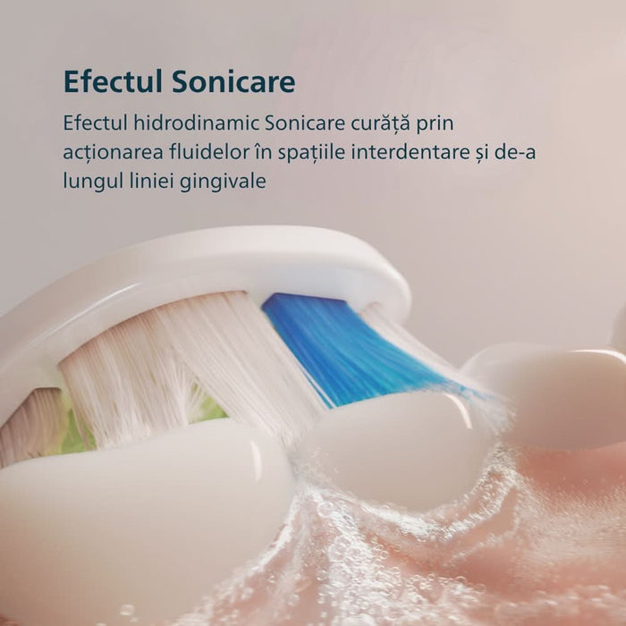 Periuta de dinti electrica PHILIPS Sonicare HX4022/03, 31000 miscari/min, 1 program, 2 capate, roz WALTI