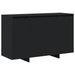 Bufet Negru Negru Lemn prelucrat 120 x 41 x 75 cm Bufet Negru - WALTI WALTI