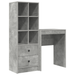 Birou cu sertar cu raft cu depozitare 2 pcs Gri din beton - WALTI WALTI