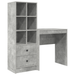 Birou cu sertar cu raft cu depozitare 2 pcs Gri din beton - WALTI WALTI