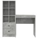 Birou cu sertar cu raft cu depozitare 2 pcs Gri din beton - WALTI WALTI