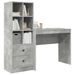 Birou cu sertar cu raft cu depozitare 2 pcs Gri din beton - WALTI WALTI