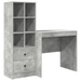 Birou cu sertar cu raft cu depozitare 2 pcs Gri din beton - WALTI WALTI