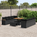 Set de Sofa pentru Grădină vidaXL de 11 piese cu Perne Ratan Poliratan Negru Acacia - WALTI WALTI