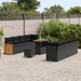 Set de sofa de grădină vidaXL 11 Piese cu perne Negru Poliratan Acacia - WALTI WALTI