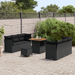 Set de canapea de grădină vidaXL cu 9 piese Negru Ratan Poli Acacia - WALTI WALTI