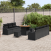 Set Canapele Grădină vidaXL 10 Piese cu Perne Negru Ratan Polimeric Acacia - WALTI WALTI