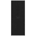 Fișet Set de 2 Stejar negru Lemn prelucrat 60 x 32 x 153 cm - WALTI WALTI