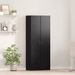 Fișet Set de 2 Stejar negru Lemn prelucrat 60 x 32 x 153 cm - WALTI WALTI