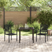Set de dining pentru grădină 3 piese Negru Ratan PVC - WALTI WALTI