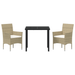 Set de Dining de Grădină 3 Piese Bej Rattan Polimer - WALTI WALTI