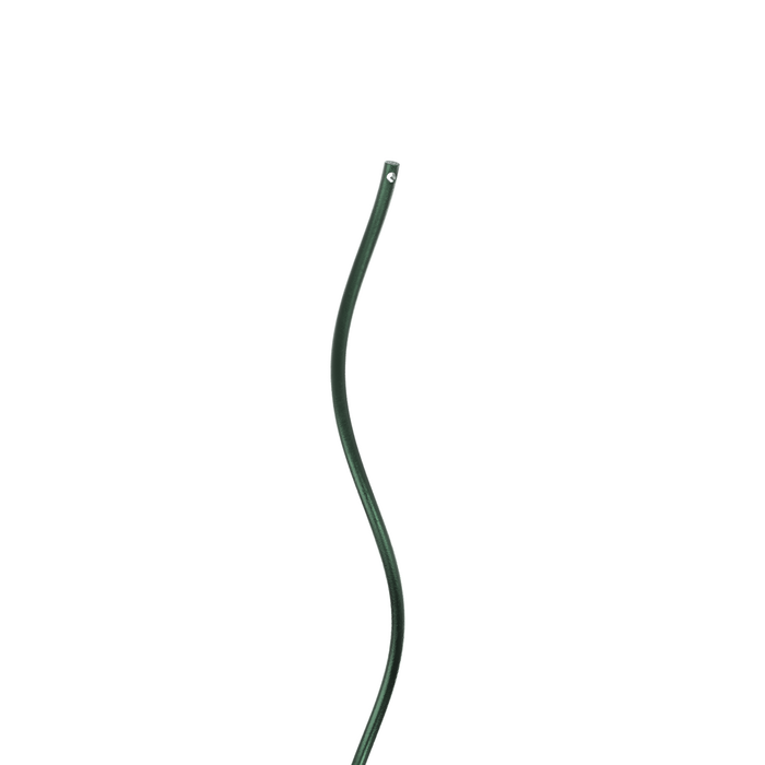 Suporturi spiralate de plante, 5 buc., 170 cm, oțel - WALTI WALTI