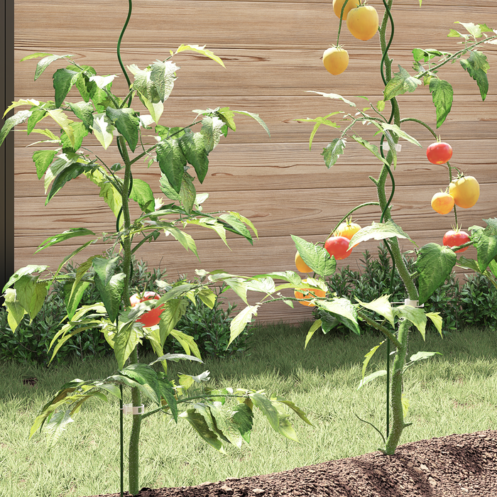 Suporturi spiralate de plante, 5 buc., 170 cm, oțel - WALTI WALTI