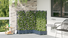 Ghiveci de grădină cu trellis 5 pcs Gri 120 x 120 x 125.5 cm PP - WALTI WALTI