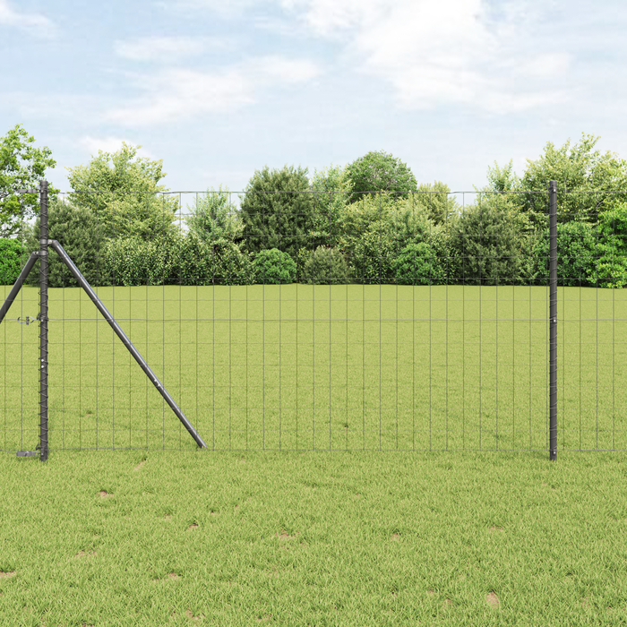 Euro Fence Gri 1x10 m Oțel - WALTI WALTI