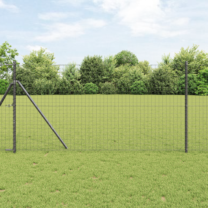 Gard Euro Gri 1,2x25 m Fier - WALTI WALTI