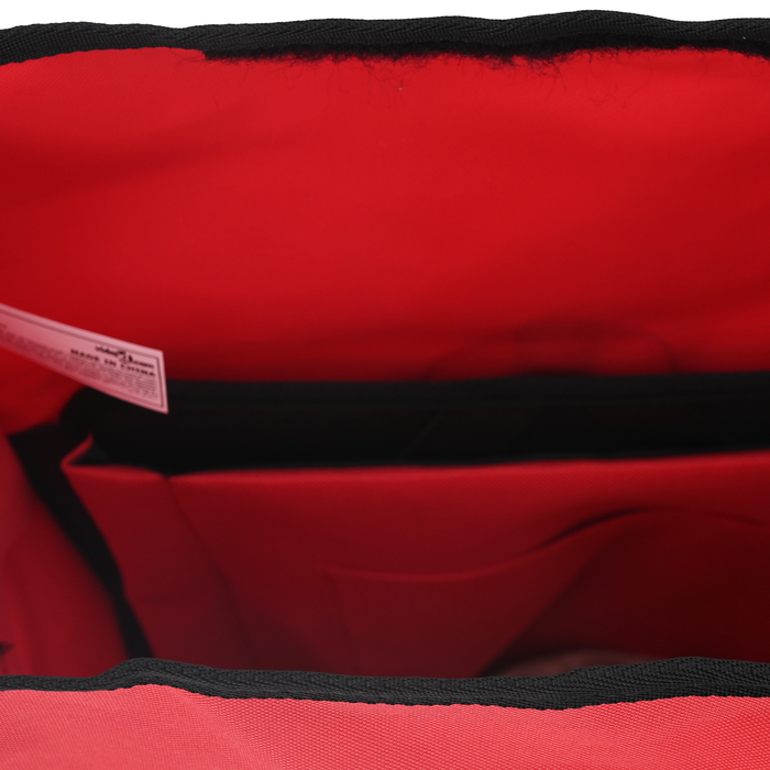 Geanta de bicicletă pentru rack de pannier 20 L Roșie 34x16x59 cm - WALTI WALTI
