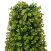 Planta artificială Eucalipt, cu ghiveci, 27x27x90 cm, verde - WALTI WALTI