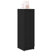 Dulap pentru pantofi cu raft Stejar negru 29,5 x 35 x 101 cm - WALTI WALTI