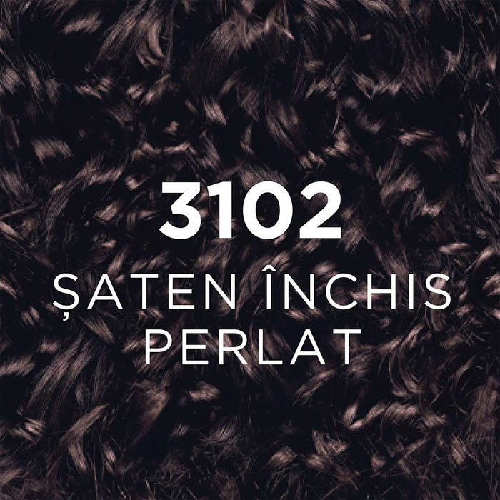 L'ORÉAL PARiS casting CRÈME GLOSS Vopsea păr 3102 şaten închis polar, 1 buc WALTI