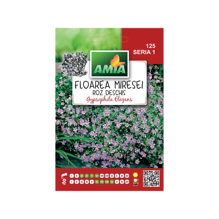 Seminte flori de primavara, floarea miresei, roz, Amia, 3 g WALTI