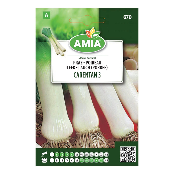 Seminte legume, praz Carentan, Amia WALTI