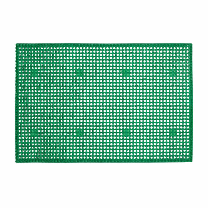 Covoras intrare 40 x 60 cm, dreptunghiular, Erdba, verde WALTI